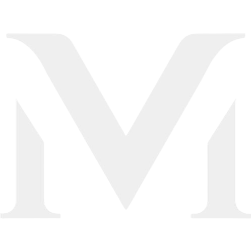 MaxVault Safety box logo light